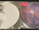 KID CUDI - Man on the Moon 3 & Leader of the  Delinquents Picture Disc