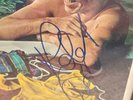 Robert Palmer - Double Fun Album LP SIGNED - COA