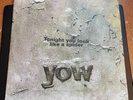 David Yow - Tonight You Look Like A Spider / 450 LP Jesus Lizard Scratch Acid