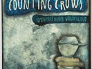 Counting Crows - Somewhere Under Wonderland - 180g Heavyweight Vinyl LP - 2014