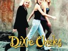 DIXIE CHICKS WIDE OPEN SPACES [LP] NEW VINYL