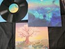 Legend Of Zelda Breath Of The Wild ballads of the champions vinyl not moonshake