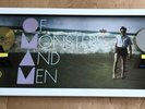 Of Monsters And Men Gold Platin Award ( goldene Schallplatte ) Little Talks