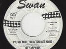 SAPPHIRES I've Got Mine, You Better Get Yours R&B NORTHERN SOUL 1964 45RPM