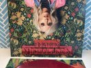 INGRID MICHAELSON Stranger Songs SIGNED RED VINYL RECORD Autographed SUPER RARE
