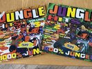 Various - Jungle Hits Volume 2 and 3 (2xLP, Comp)plus ragga in the jungle x2 lp
