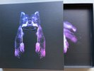 Gruff Rhys American Interior Box Set signed poster & LP & CD & ep1&2 Near Mint