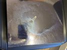 Tool Fear Inoculum 5 Lp Box Set Super Deluxe Vinyl Record Album New & Sealed