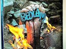 The Beast Bedlam 1973 Vinyl Chrysalis Records 1st Press White Label Promo