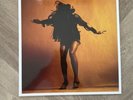The Last Shadow Puppets Everything You’ve Come To Expect Vinyl