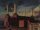 PINK FLOYD Animals Vinyl Record Album LP Harvest 1977 David Gilmour Roger Waters