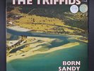 TRIFFIDS: born sandy devotional HOT 12