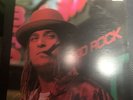 KID ROCK - Devil Without A Cause 2016 US Black Vinyl 2LP -  Warner Bros. 5533381