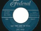 JAMES BROWN - Baby Cries Over The Ocean / That Dood It - FEDERAL - R&B 45