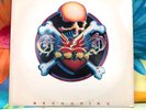 Grateful Dead Reckoning US Arista 1981 Double LP Vinyl Record