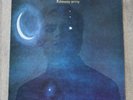 TUBEWAY ARMY DOWN IN THE PARK VINYL RECORD 12