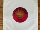 The Tamrons Wild Man Pyramid 45 repro garage BFTG pebble 60s punk