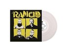 RANCID TOMORROW NEVER COMES NEW SEALED COLOURED VINYL LP IN STOCK