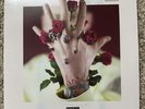 Machine Gun Kelly- Bloom Vinyl