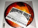 The Bouncing Souls The Gold Record Picture Disc Chunksaah Records 2006 Punk Rock