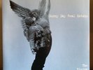 Sunny Day Real Estate The Rising Tide Clear Vinyl LP Record Store Day 2017 RSD