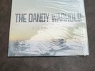THE DANDY WARHOLS DISTORTLAND 2006 USA 1st Press NM/NM