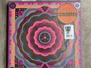Grateful Dead 'Boston Garden, MA 5/7/77 Live' RSD 2023 180G Vinyl Box Set