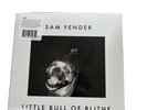 SAM FENDER - WILD GREY OCEAN / LITTLE BULL OF BLITHE - 7