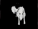 Sigur Rós RSD 2023 Ltd/Ed Kveikur 2 x Sulphuric Yellow Coloured Vinyl + Print