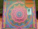 Grateful Dead 'Boston Garden, MA 5/7/77 Live' RSD 2023 180G Vinyl Box Set