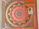 Grateful Dead - Boston Garden 1977 - Vinyl LP RSD 2023