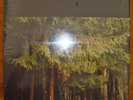 Prurient Black Vase 2LP Wolf Eyes Alberich Vatican Shadow Hospital Productions