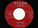 Rockabilly Inst. 45 - Harold & Bob - Spitfire - Delta - VG+ mp3
