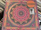 Grateful Dead - Boston Garden 1977 - Vinyl LP RSD 2023 NEW SEALED