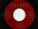 Garage 45 - Fantastic Dee-Jays - Apache/This Love Of Ours - Sherry - mp3