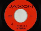 Garage Surf Inst. 45 - Gamma Rays - Infinity - Jaxon - mp3 - rare