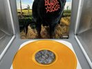 Blink 182 DUDE RANCH Vinyl - Clear with Orange