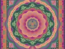 Grateful Dead 'Boston Garden, MA 5/7/77 Live' RSD 2023 180G Vinyl Box Set
