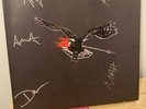 The Airborne Toxic Event Vinyl LP Record Box Set *Signed