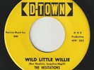 THE HESITATIONS Wild Little Willie D-TOWN detroit rockabilly r&r 45
