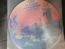 Pink Floyd - The Film More Picture disc lp  12