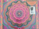 Grateful Dead Boston Garden MA 5/7/77 Live RSD 2023 180G Vinyl Box Set New