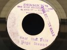 HEAR THAT TRAIN - TINGA STEWART ( Rare Soulful Reggae ) 1st Press DERRICK'S PRE
