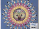 Bluey Dance Mode  Vinyl — Zoetrope Picture Disc — RSD 2023 Exclusive