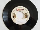 MUMFORD & SONS - I Will Wait b/w LUMINEERS - Ho Hey - Mispressed Jukebox 7