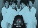 SHRINE NORTHERN Various - New & Sealed Northern Soul LP Vinyl (Kent) 60s Soul