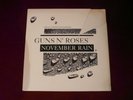 Guns N Roses November Rain Special Limited Edition Etched Disc (12