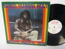 80s Dub Reggae ERROL FLABBA HOLT roots radics dub 1981 US Vinyl LP Good