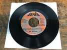 JOE BATAAN  What Good Is A Castle FANIA 7