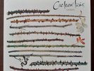 THE COCTEAU TWINS - TWINLIGHTS 2 x 7 IN. MERCURY 1995 (CT3)